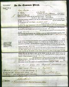 Court of Common Pleas - Emily Bushby-Original Ancestry