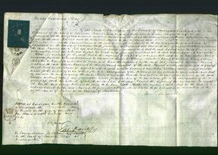 Court of Common Pleas - Harriet Devonald-Original Ancestry