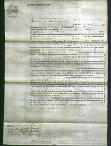 Court of Common Pleas - Cornelia Risdon Jones-Original Ancestry