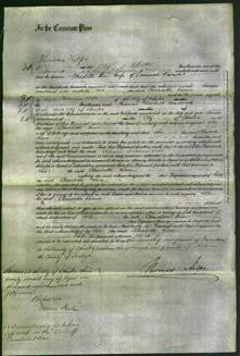 Court of Common Pleas - Charlotte Rowe-Original Ancestry