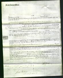 Court of Common Pleas - Esther Hawkes-Original Ancestry