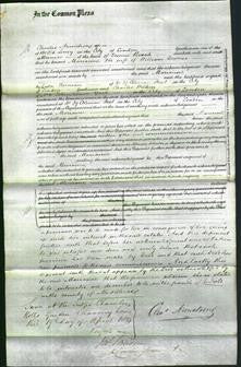 Court of Common Pleas - Marianne Green Downes-Original Ancestry