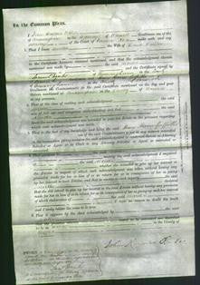 Court of Common Pleas - Martha Rathbone-Original Ancestry