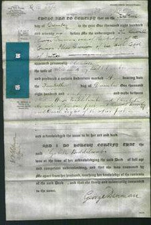 Deed by Married Women - Elizabeth Biddelcombe-Original Ancestry