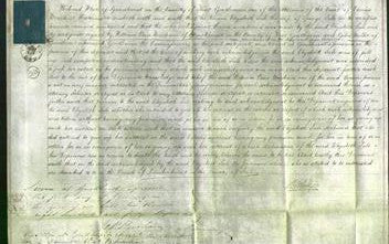 Court of Common Pleas - Elizabeth Sale-Original Ancestry