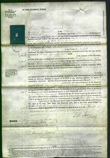 Court of Common Pleas - Rachel Breeze Gennery and Martha Breeze Garner-Original Ancestry