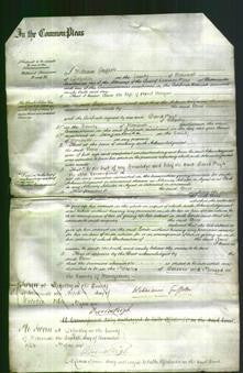 Court of Common Pleas - Anne Morgan-Original Ancestry