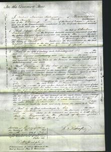 Court of Common Pleas - Eliza Lockwood-Original Ancestry