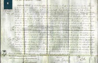 Court of Common Pleas - Mary Watkins-Original Ancestry
