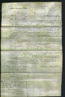 Court of Common Pleas - Elizabeth Ankero-Original Ancestry