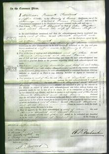 Court of Common Pleas - Harriett Elizabeth Hayden and Sarah Emma Newport-Original Ancestry