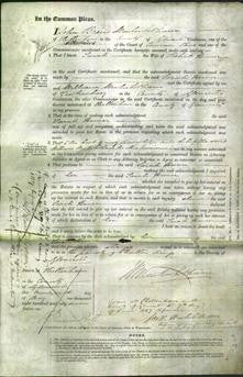 Court of Common Pleas - Sarah Hewer-Original Ancestry