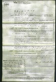 Court of Common Pleas - Elizabeth Biddelcombe-Original Ancestry