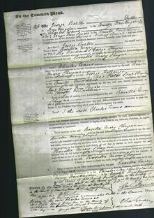 Court of Common Pleas - Rosetta Mary Cheyne-Original Ancestry