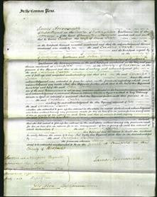 Court of Common Pleas - Caroline Carter-Original Ancestry