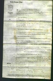 Court of Common Pleas - Ann Stratford-Original Ancestry