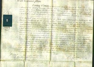 Court of Common Pleas - Mary Anne Pattison-Original Ancestry