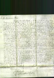 Court of Common Pleas - Mary Ann Beadel-Original Ancestry