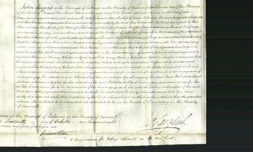 Court of Common Pleas - Ann Robins-Original Ancestry