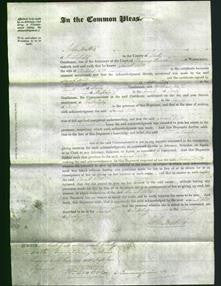 Court of Common Pleas - Sarah Hill-Original Ancestry