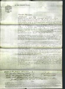 Court of Common Pleas - Sarah Elizabeth Pembroke-Original Ancestry