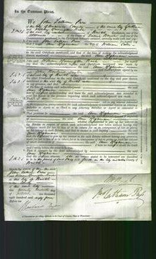 Court of Common Pleas - Ann Highman Cates-Original Ancestry