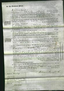 Court of Common Pleas - Jane Alley and Eliza Reynolds-Original Ancestry