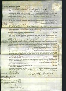 Court of Common Pleas - Mary Snell-Original Ancestry