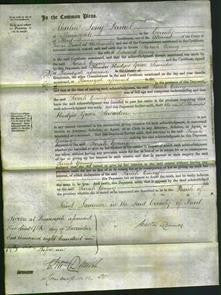 Court of Common Pleas - Sarah Young-Original Ancestry