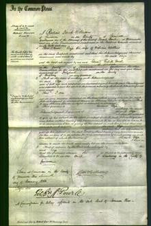 Court of Common Pleas - Eliza Walthew-Original Ancestry