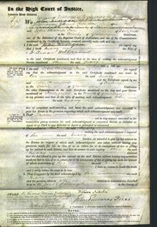 Court of Common Pleas - Mary Williams-Original Ancestry