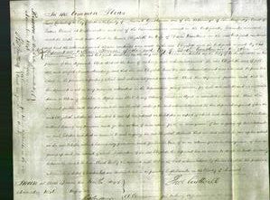 Court of Common Pleas - Elizabeth Hawkins-Original Ancestry