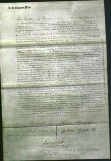 Court of Common Pleas - Jane Dobson-Original Ancestry