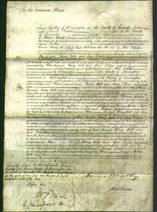 Court of Common Pleas - Mary Holt and Ann Dobson-Original Ancestry