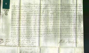 Court of Common Pleas - Martha Young-Original Ancestry