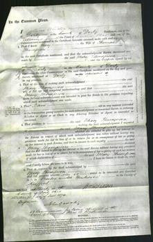 Court of Common Pleas - Mary Thompson-Original Ancestry