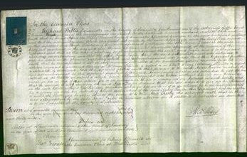 Court of Common Pleas - Agnes Taylor-Original Ancestry