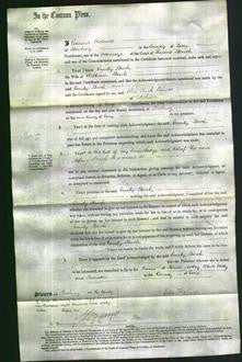 Court of Common Pleas - Emily Buck-Original Ancestry