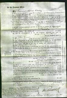 Court of Common Pleas - Mary Hawkings-Original Ancestry