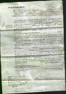 Court of Common Pleas - Selina Victoria Von Cadelszen Norris-Original Ancestry