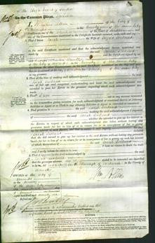 Court of Common Pleas - Sarah Joseland-Original Ancestry