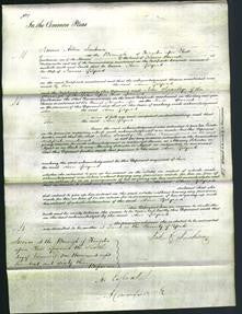 Court of Common Pleas - Ann Gilyead-Original Ancestry