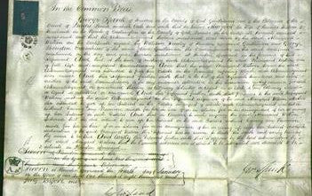 Court of Common Pleas - Ann Johnson, Elizabeth Corden and Hannah Wright-Original Ancestry