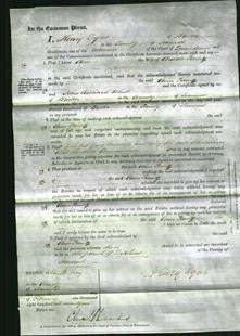 Court of Common Pleas - Ann Penney-Original Ancestry