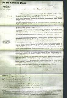 Court of Common Pleas - Matilda Hurl-Original Ancestry