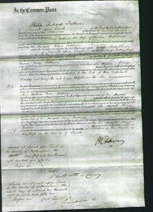 Court of Common Pleas - Mary Paddison Williams-Original Ancestry
