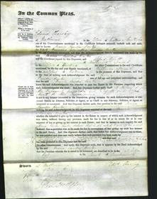 Court of Common Pleas - Maria Robinson Vanderhouten-Original Ancestry