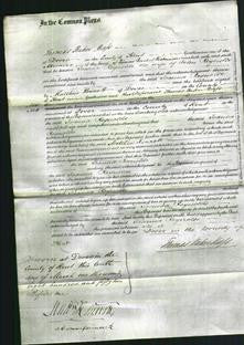 Court of Common Pleas - Joann Reynolds-Original Ancestry