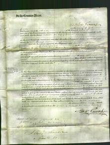 Court of Common Pleas - Catherine Jarvis-Original Ancestry