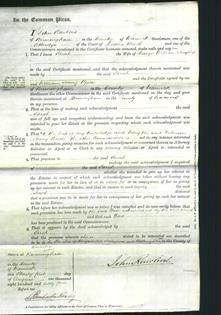 Court of Common Pleas - Sarah Hingley-Original Ancestry